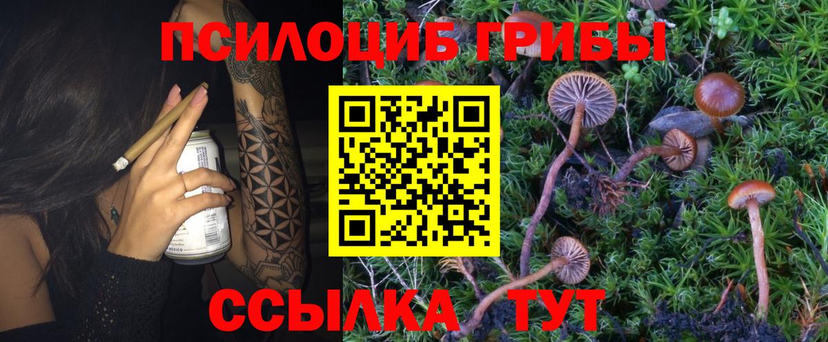 Галлюциногенные грибы GOLDEN TEACHER Жуковский